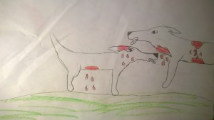 Taistelun jälkeen…